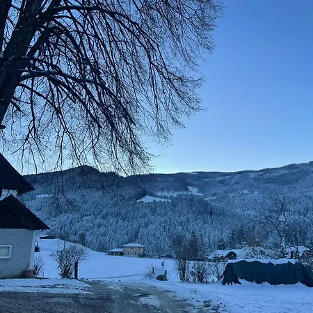 Baumgartnerhof - Urlaub Am Bauernhof アパート *